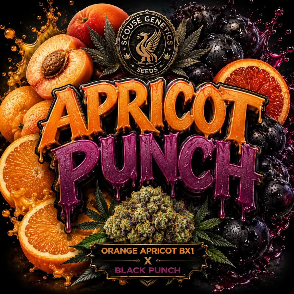 Apricot Punch