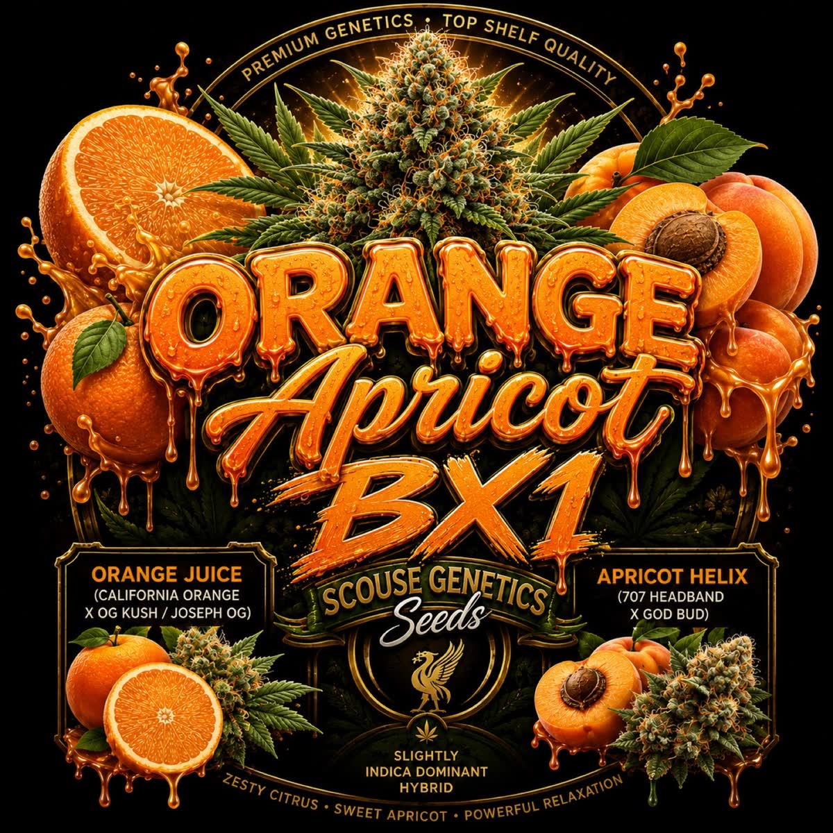 Orange Apricot Bx1 pack art