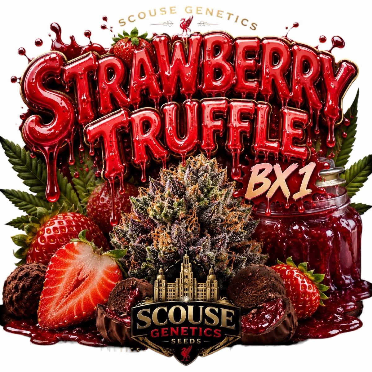 Strawberry Truffle Bx1 pack art